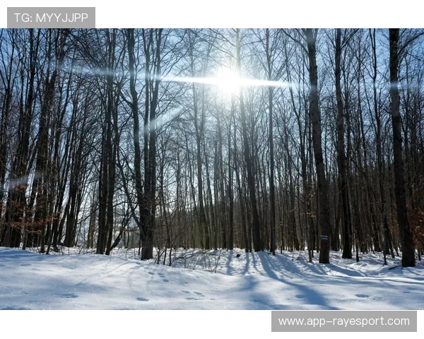 法兰克福公园球场雪景航拍，德甲在银装素裹中进行